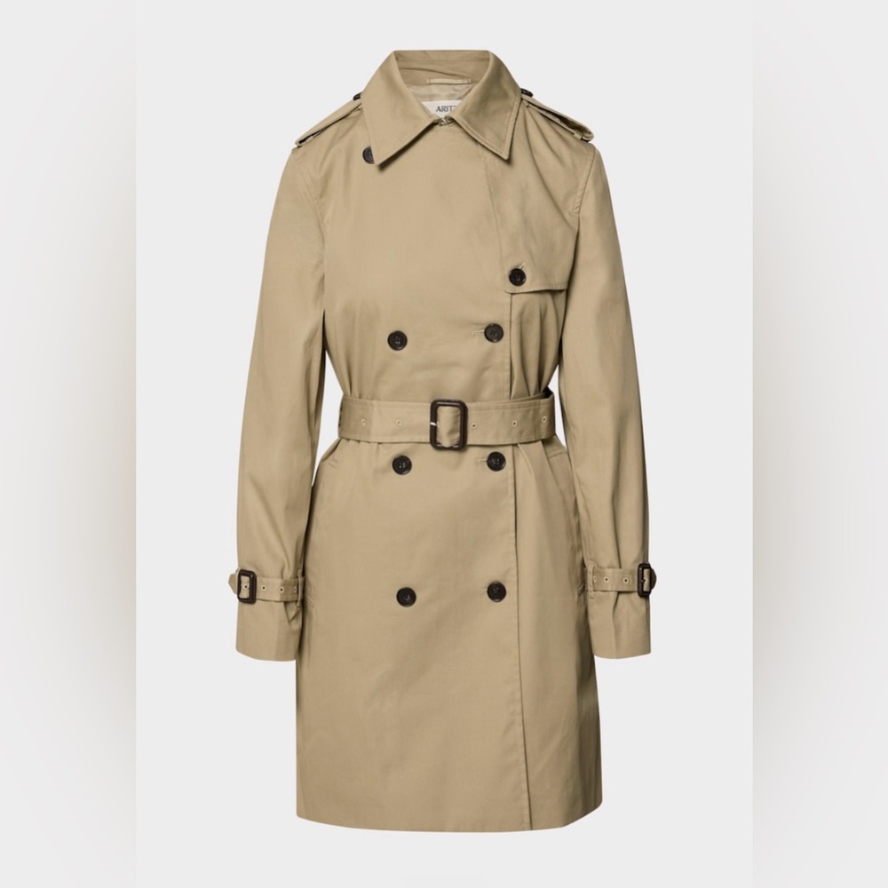Aritzia Finch Trench Coat